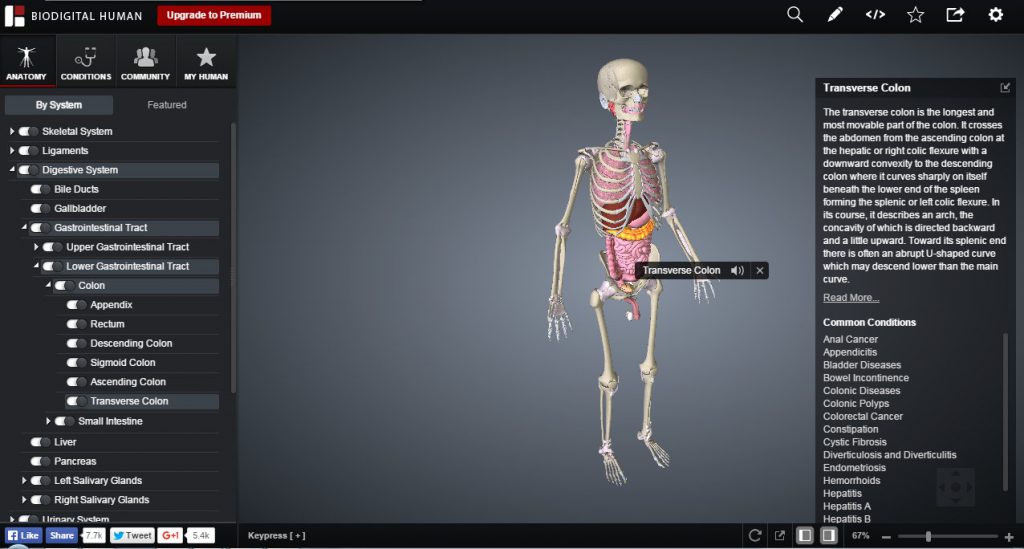 human biodigital