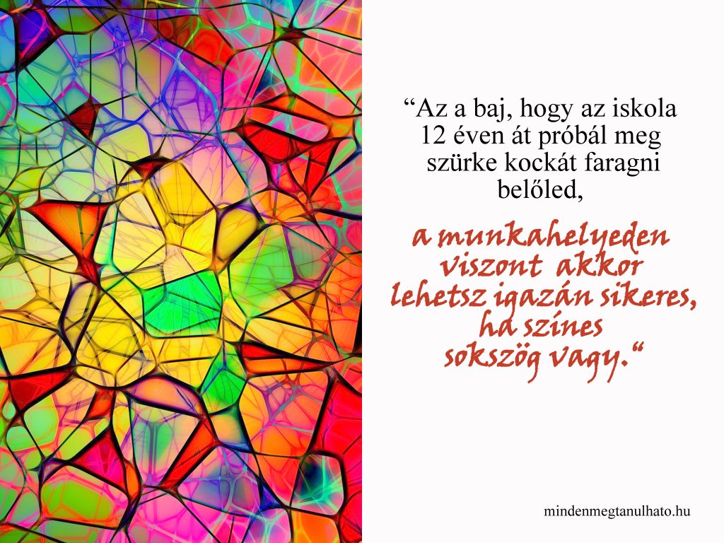 hiba
