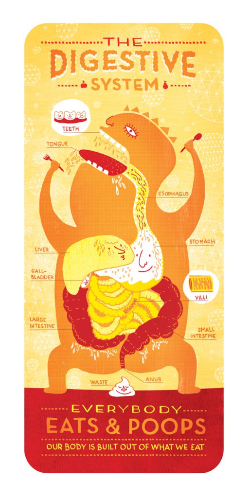 digestive_system_ignotofsky