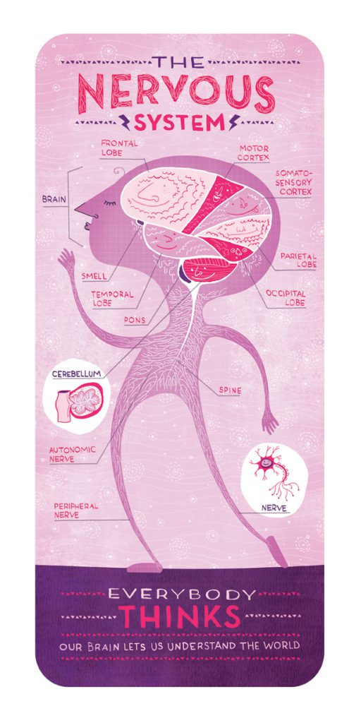 nervous_system_ignotofsky