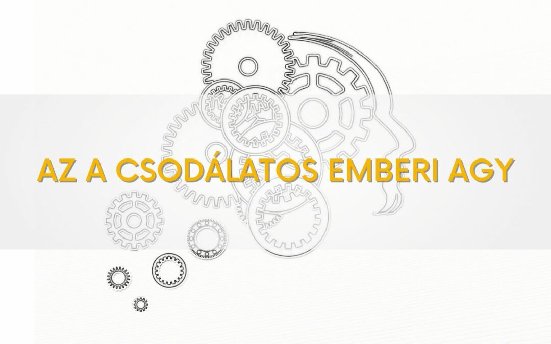 Az a csodálatos emberi agy