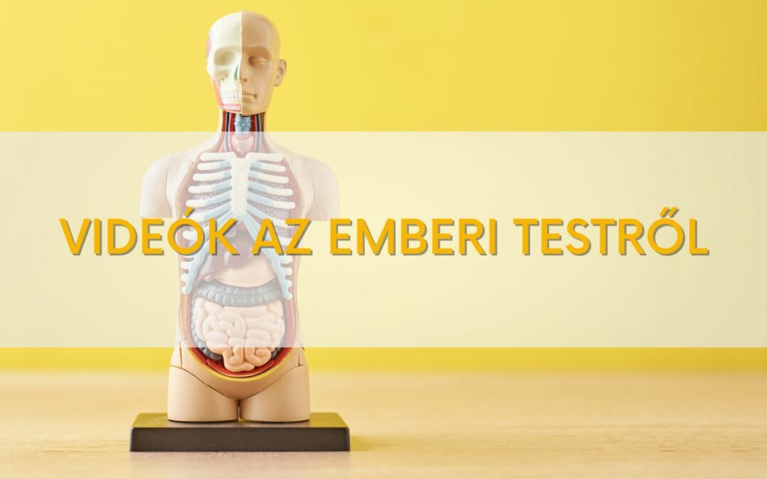 Biológia videók – az emberi test