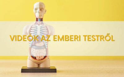 Biológia videók – az emberi test