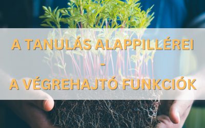 A tanulás alappillérei – a végrehajtó funkciók jó működése